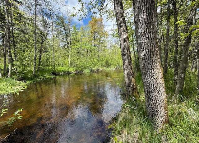 Property at 51791 Riverside Ln, Dell Grove Twp, MN 55072