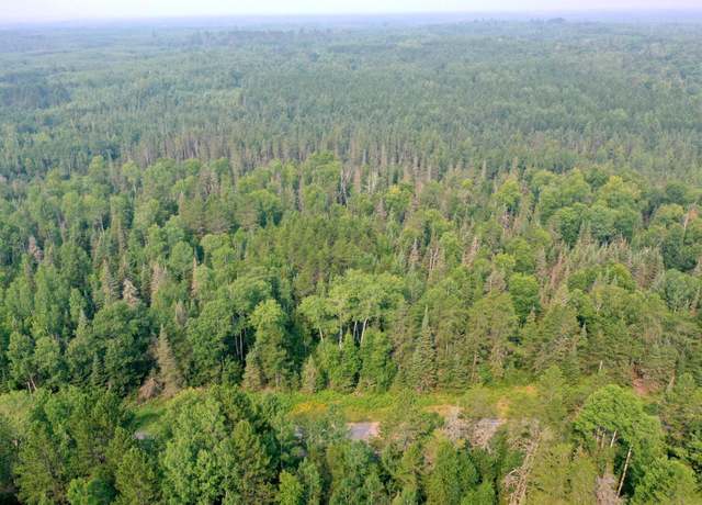 Property at TBD Virginia Ely Rd, Babbitt, MN 55706
