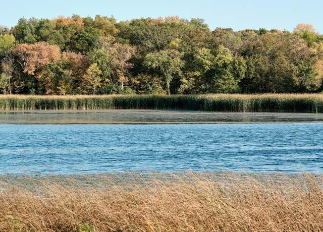 Property at Tract B 575th, Greenleaf Twp, MN 55355