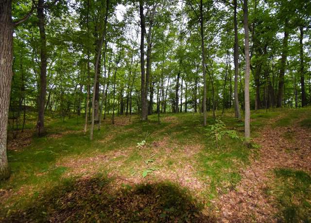 Property at TBD Osceola Cir, Breezy Point, MN 56472