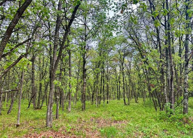 Property at TBD Lot 4 204th St, Park Rapids, MN 56470