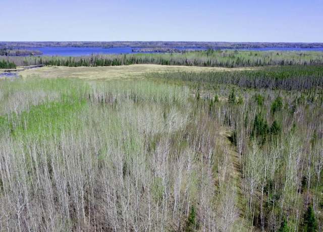 Property at TBD5 Hwy. 115, Greenwood Twp, MN 55790