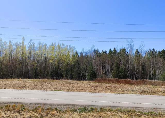 Property at TBD2 Hwy. 115, Greenwood Twp, MN 55790