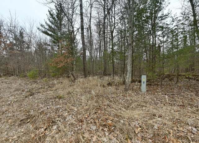 Property at Lot 2 Long Lake Rd, Danbury, WI 54830