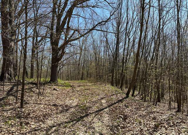Property at XXXX Holly Trl, Arthur Twp, MN 56358
