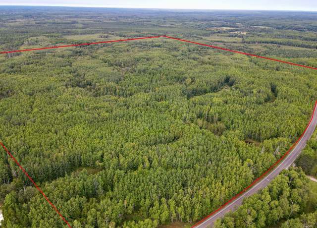 Property at TBD Hwy 65, Nashwauk Twp, MN 55769