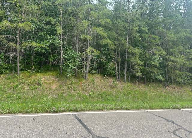 Property at Lot 5 Acre 239th Ave, Nevis Twp, MN 56467