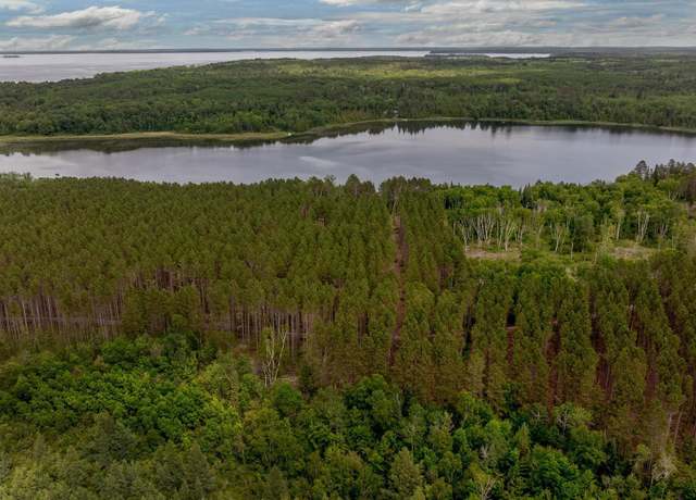 Property at TBD FS 2666, Walker, MN 56484