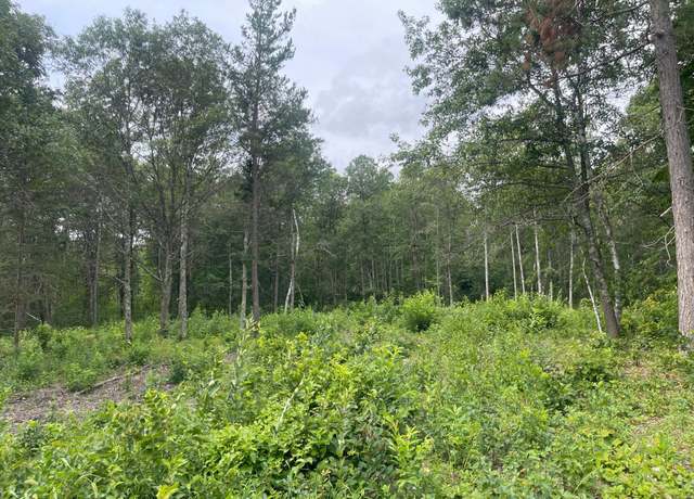 Property at Lot 4 Patriot Ave, Pequot Lakes, MN 56472
