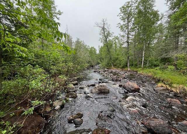 Property at xxxx Crown Creek Spur Rd, Finland, MN 55603
