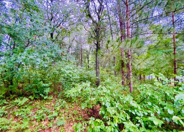Property at 0 North Point Dr, Minong, WI 54859