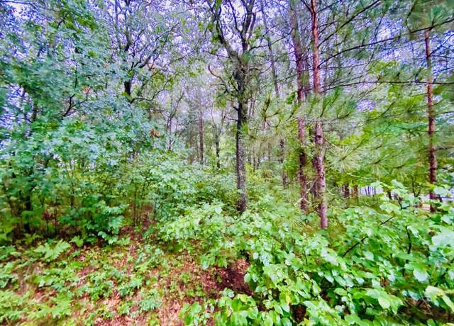 Property at 0 North Point Dr, Minong, WI 54859