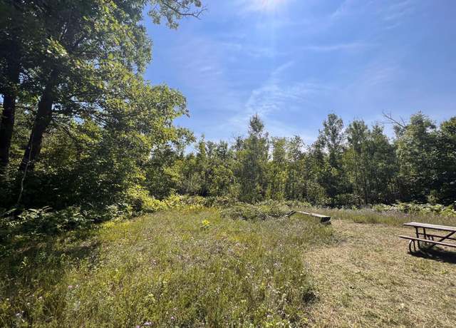 Property at TBD Highway 65, Ford Twp, MN 56342