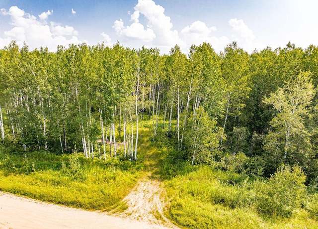 Property at 1214 Stoney Creek Rd, Zim, MN 55738