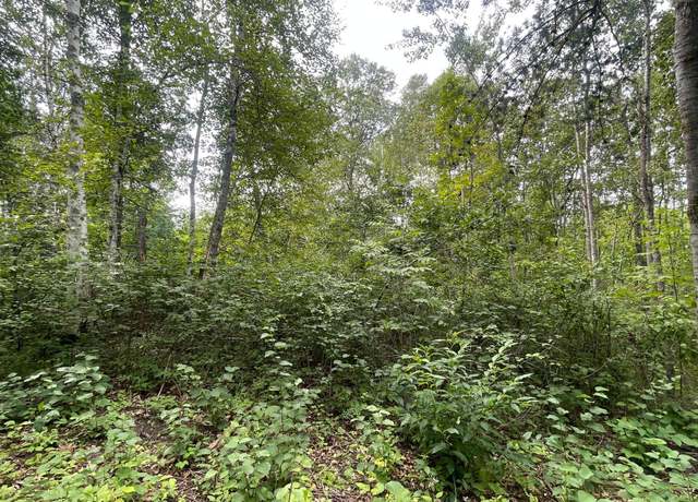Property at Lot 1 Patriot Ave, Pequot Lakes, MN 56472