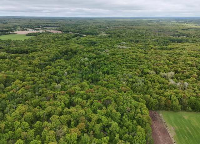 Property at TBD 210th Ave, Kanabec Twp, MN 56358