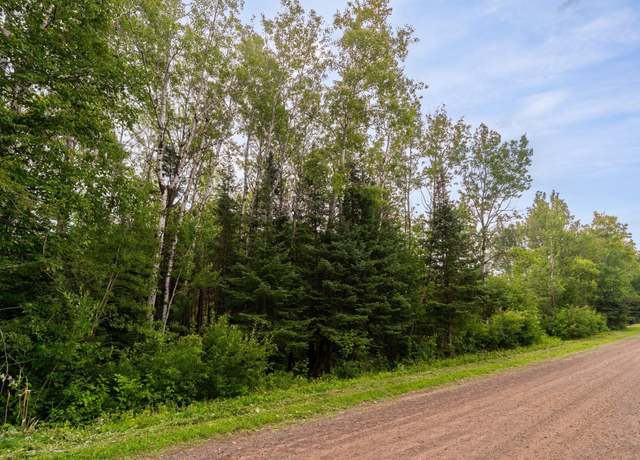 Property at XX Torma Rd, Esko, MN 55733