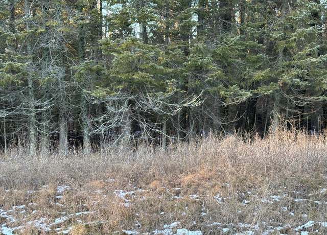 Property at XXXX NW County 47, Longville, MN 56655