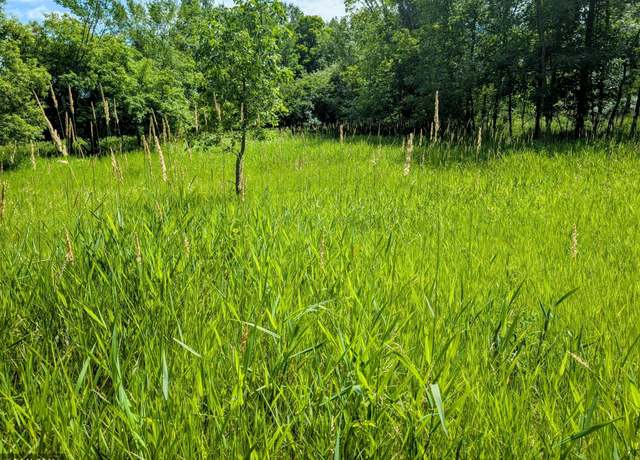 Property at XXX 3rd Ave SW, Long Prairie, MN 56347