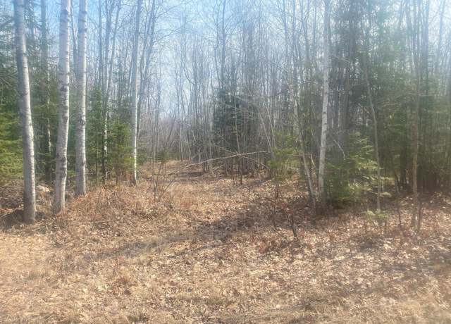 Property at TBD Old Hwy 13 Rd, Herbster, WI 54844