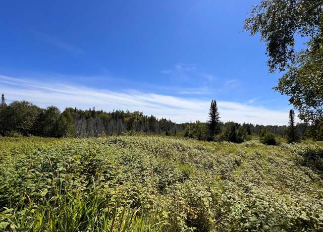 Property at 3228 Gods Wilderness Rd, Silver Creek Twp, MN 55614