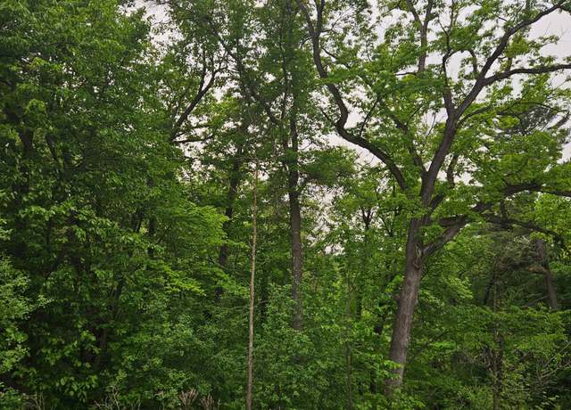 Property at TBD 330th Ave, Weston Twp, WI 54740