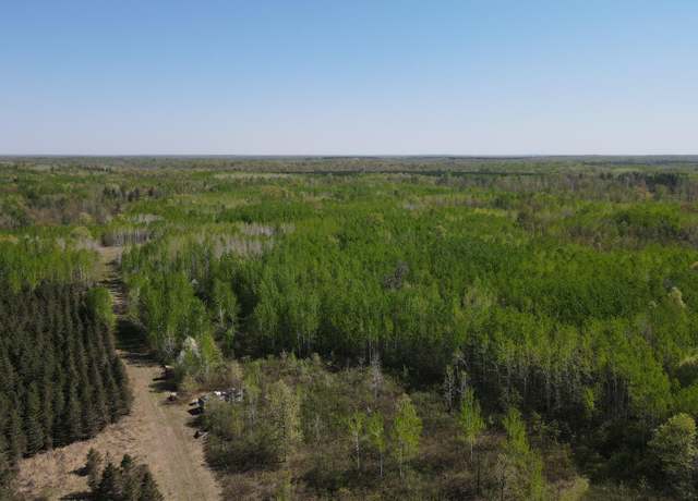 Property at TBD Sand Rivers Rd, Clover Twp, MN 55037