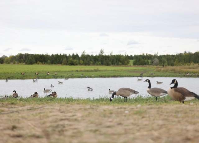 Property at TBD Two Rivers Rd, Orwell Twp, MN 56537