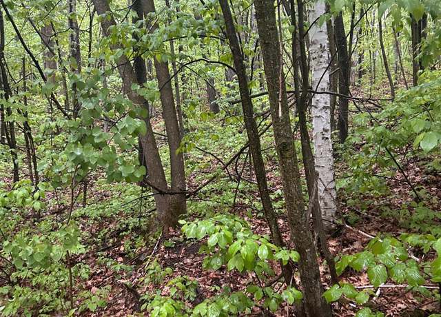 Property at TBD Flintstone, Cushing Twp, MN 56443