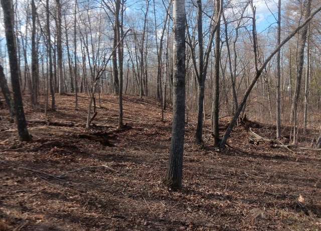 Property at TBD County Road 138, Garrison Twp, MN 56450