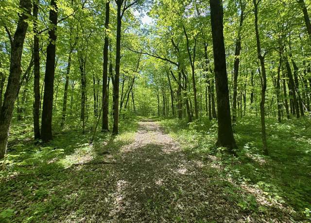 Property at XXCB Merlin Rd, Dailey Twp, MN 56338