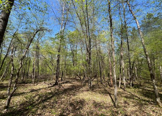 Property at Lot 13 Hide Away Trl, Webb Lake, WI 54830