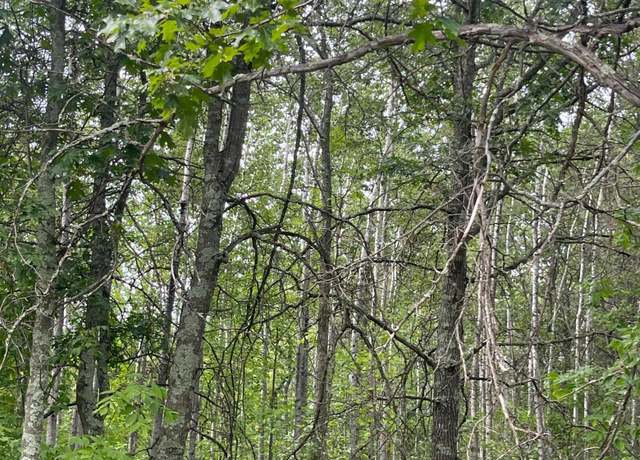 Property at Lot 2 Patriot Ave, Pequot Lakes, MN 56472