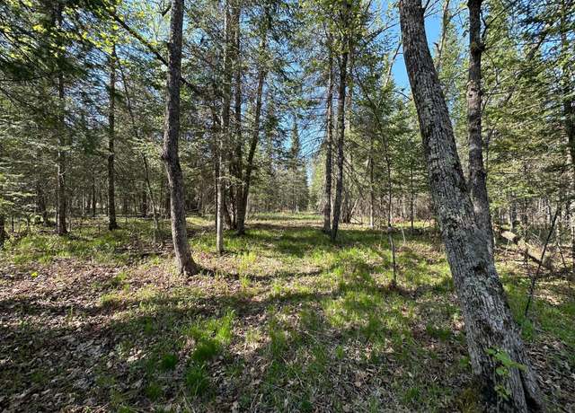 Property at XXX Elm Rd, Barnum Twp, MN 55707