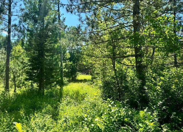 Property at TBD Lot 5 Destination Dr, Nevis, MN 56467
