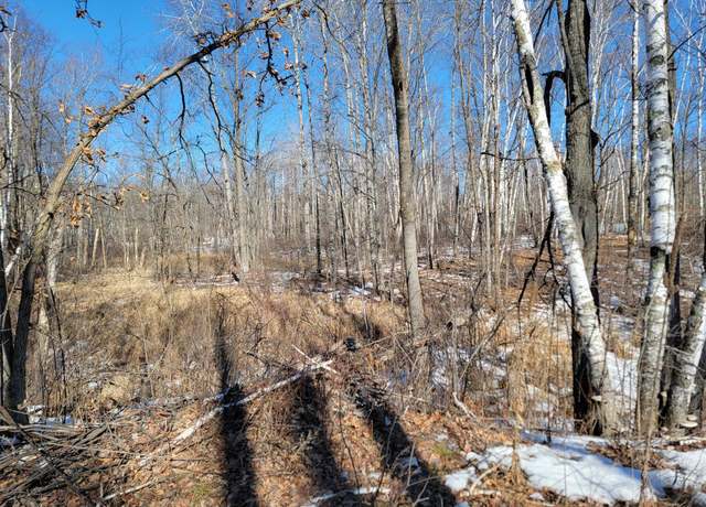 Property at XXXX Meadow Lake Rd SW, Meadowbrook Twp, MN 56466