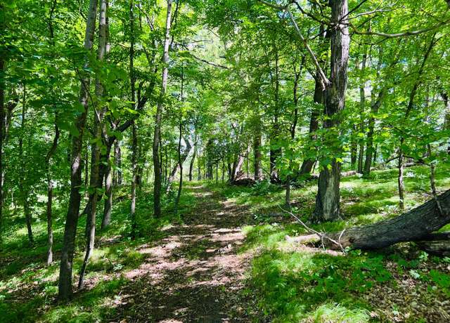 Property at 23097-Parcel G State Highway 108, Lida Twp, MN 56572