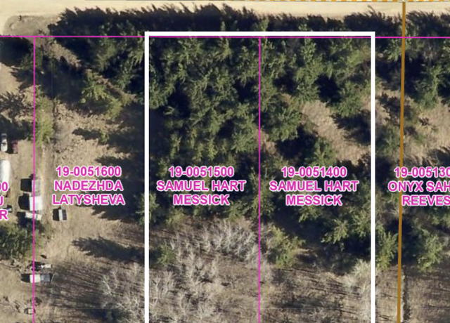 Property at lots 22 & 23 Oak Dr, Browerville, MN 56438