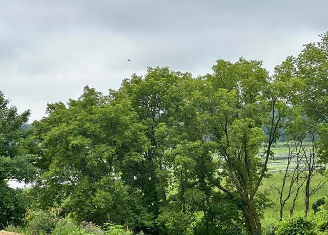 Property at XXX County Road 43, Laketown Twp, MN 55318