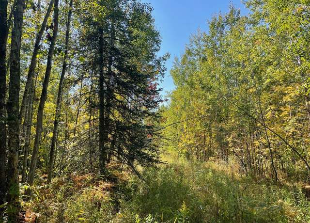 Property at TBD County Rd 83, Greenway Twp, MN 55775