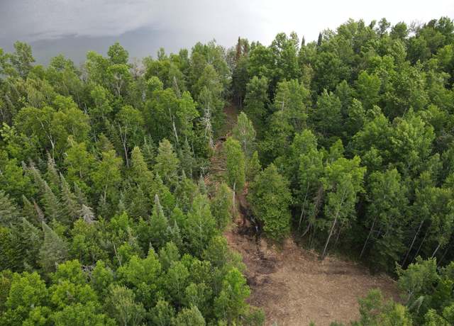 Property at Parcel A County Road 35, Lake Jessie Twp, MN 56636