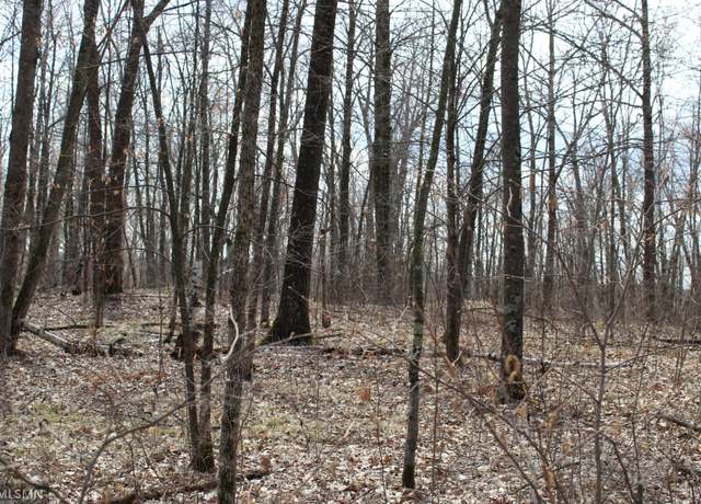 Property at 39743 Van Gordon Rd, Hinckley, MN 55037