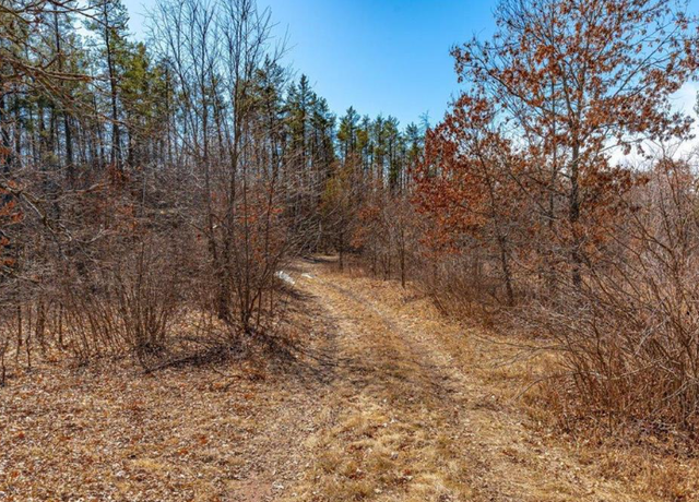 Property at xxx Parcel A Tranus Lake Tranus Lake Rd, Stinnett Twp, WI 54875