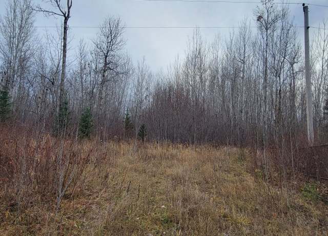 Property at TBD State Hwy 1, Effie, MN 56639