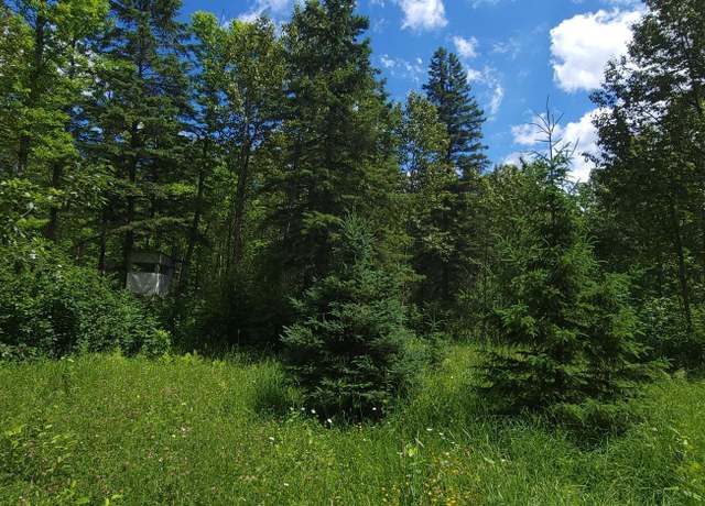 Property at TBD State Hwy 1, Effie, MN 56639