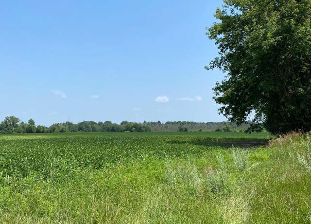 Property at TBD Hwy 65 NE, Stanchfield Twp, MN 55006