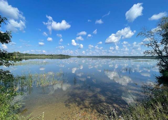 Property at 34170 Basswood Rd, Ponsford, MN 56575