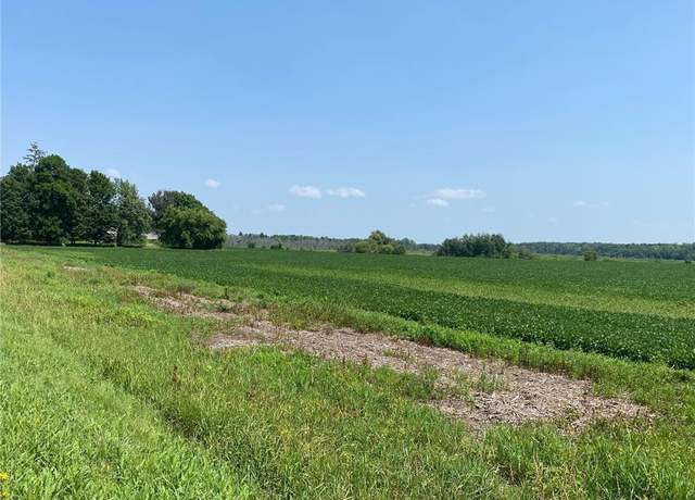 Property at 40525 Highway 65 NE, Stanchfield Twp, MN 55006