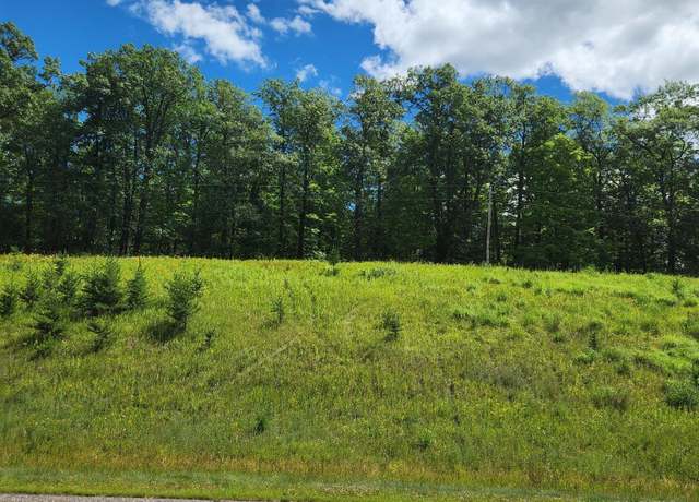 Property at TBD SW 40th Ave SW, Walden Twp, MN 56474