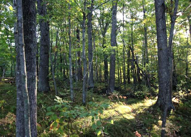 Property at L24 B2 WB16 Scenic Overlook Dr, Breezy Point, MN 56472